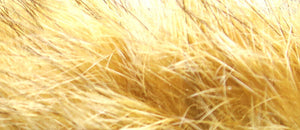 Hare's Mask