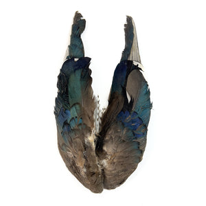 Dette Wood Duck Wings