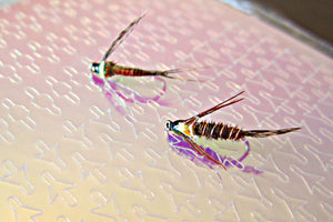 Kiley's Baetis Backs