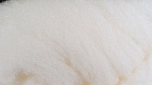 McFlyfoam