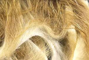Micro Rabbit Strips