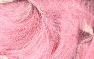 Micro Rabbit Strips