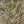 Medium UV Polar Chenille