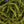 Medium UV Polar Chenille
