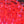 Medium UV Polar Chenille