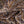 Medium UV Polar Chenille