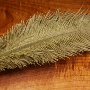 Ostrich Herl