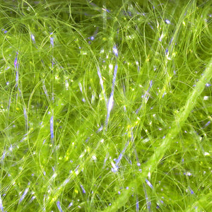 UV Polar Chenille