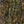 UV Polar Chenille
