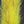 Sculp Flash Streamer Brush - 2 inch