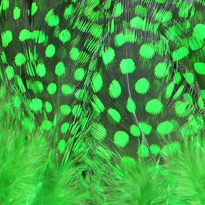 Strung Guinea Fowl Feathers