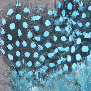 Strung Guinea Fowl Feathers