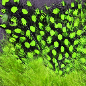 Strung Guinea Fowl Feathers