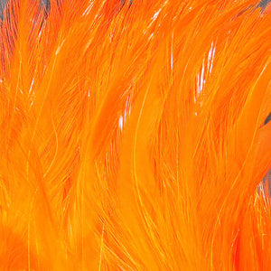 Saltwater Neck Hackle