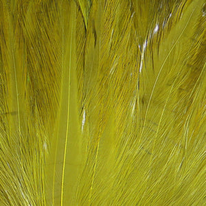 Saltwater Neck Hackle