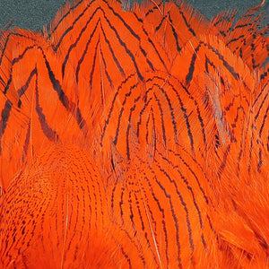 Silver Pheasant Body Feathers