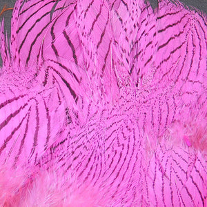 Silver Pheasant Body Feathers