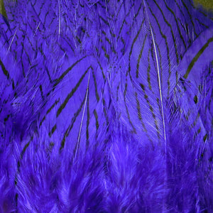 Silver Pheasant Body Feathers