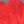 Silver Pheasant Body Feathers