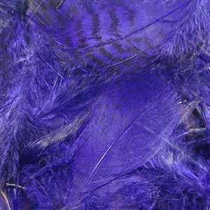 Teal Flank Feathers
