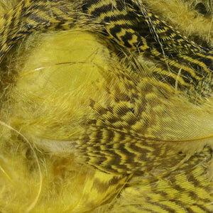 Teal Flank Feathers