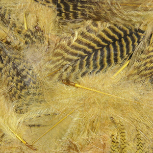 Teal Flank Feathers