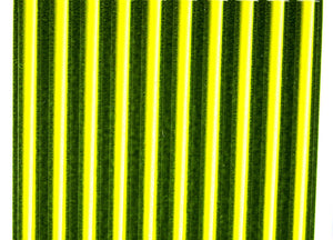 Tapered Synthetic Quill