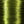 140 Power Thread