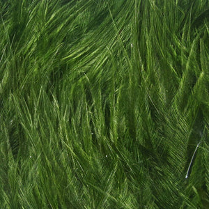 Woolly Bugger Marabou