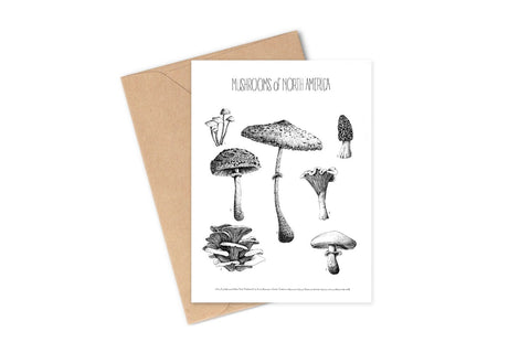 Greeting Cards By Brittany Finch