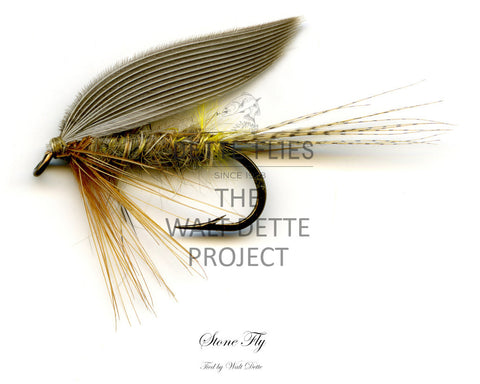 Floating Lines – Tagged 4wt – Dette Flies
