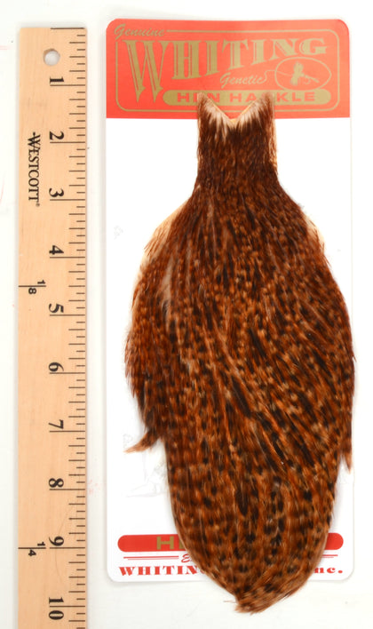 Whiting Farms - Red Label Hen Capes
