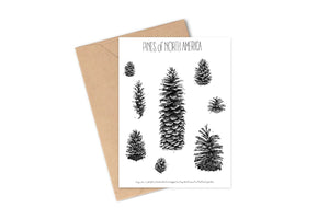 Greeting Cards By Brittany Finch