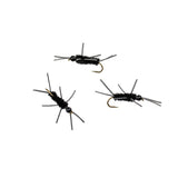 Girdle Bug Nymph (Black)