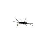Girdle Bug Nymph (Black)