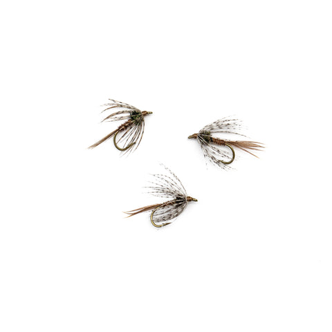 American Pheasant Tail Soft Hackle