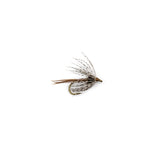 American Pheasant Tail Soft Hackle