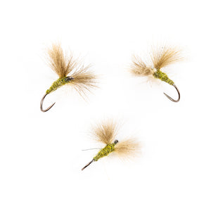 BWO CDC Knock Down Dun