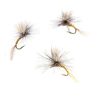 BWO Parachute Emerger