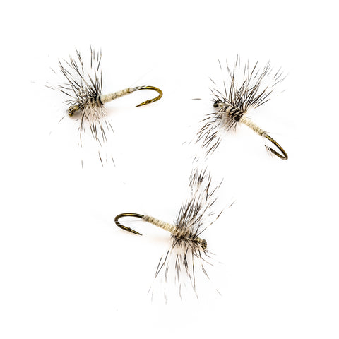 Cahill / White Fly Spinner Hackle Wing