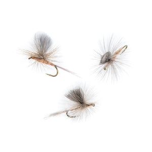 Hendrickson Sailwing Parachute