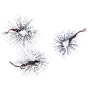 Isonychia Parachute Emerger