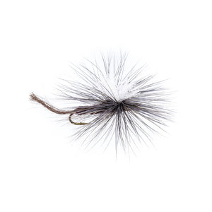 Isonychia Parachute Emerger