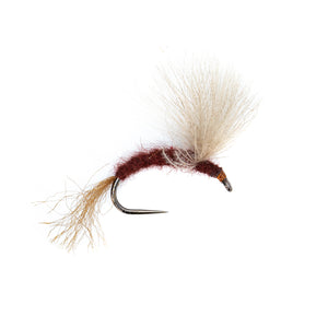 Isonychia CDC Emerger