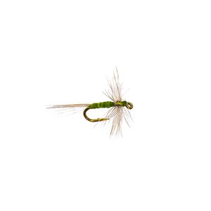 Hackle Midge - Olive