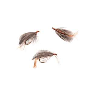 Isonychia Hen Wing Emerger