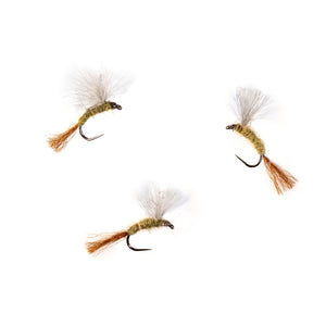 BWO CDC Emerger