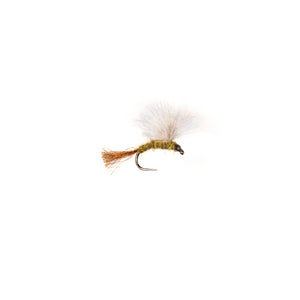 BWO CDC Emerger