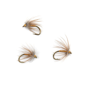 French Partridge & Brown