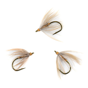 Morning Dove & Brown